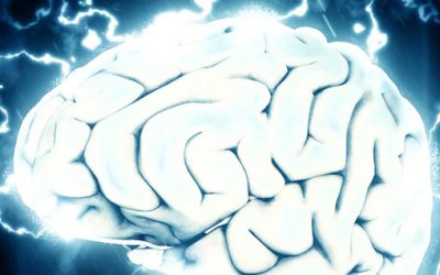 The activation of the brain to achieve greater longevity