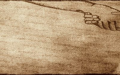 Legal reform of cooperatives to compete with trading companies