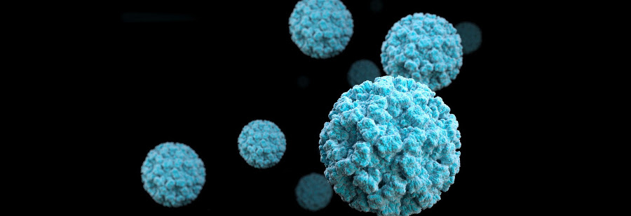 The high presence of norovirus in food and a protocol to combat them