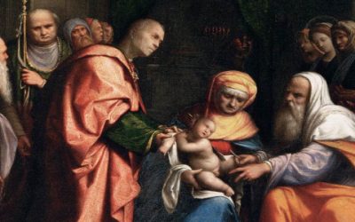 An ancestral surgery