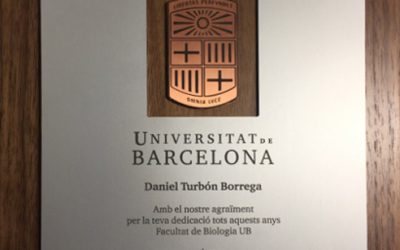 Cuatro décadas en el estrado