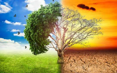 Un Mediterráneo con futuro