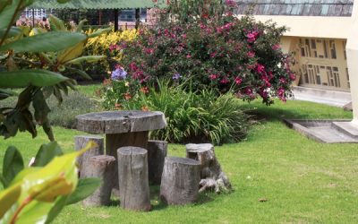 Revolutionizing orthodontics