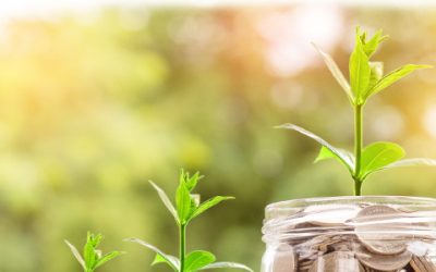 An efficient taxation