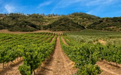 Science and culture in La Rioja