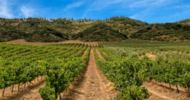 Ciencia y cultura en La Rioja Alavesa