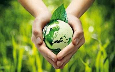 Ecologia i supervivència