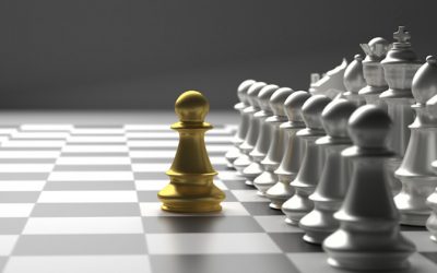 Consellers amb criteri i responsabilitat