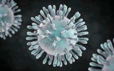 Rigor frente al coronavirus