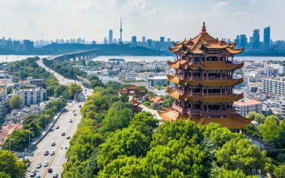 La guía china sobre la Covid-19