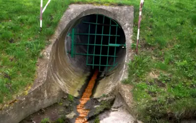 La detecció primerenca de virus a les aigües residuals