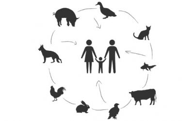 Prevención, un concepto genuinamente veterinario