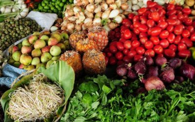 Covid-19 y seguridad alimentaria