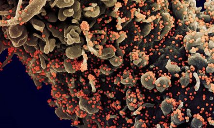 Lo que saben los virólogos del coronavirus
