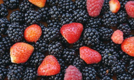 Frutos rojos para recuperar los buenos hábitos tras el confinamiento