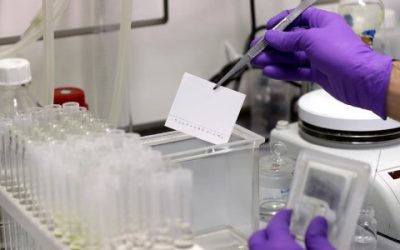 La plitidepsina, una nova via per aturar la Covid-19