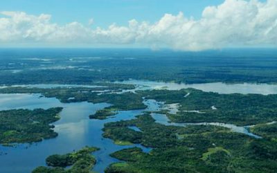 La Amazonía desde la Amazonía