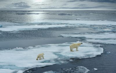 Vigesimocuarto reto vital: salvaguardar mares y océanos