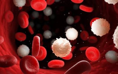 Combatre amb precisió la leucèmia