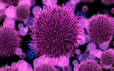 La importància de conèixer el llenguatge dels virus