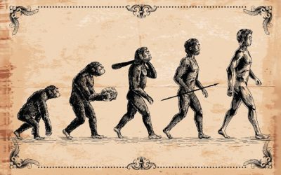 El caràcter distintiu de l’ésser humà en l’evolució