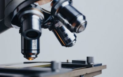 Un acadèmic al rànquing dels investigadors espanyols més reconeguts