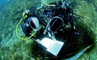 Alarma sobre l’estat del litoral barcelonès