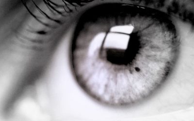 Recuperar el campo de visión tras un ictus o cualquier otra circunstancia es posible