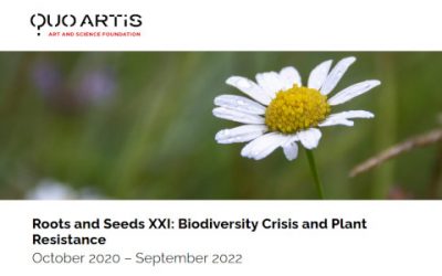 Quo Artis premia los mejores proyectos de arte y ciencia de una nueva era