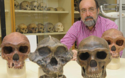L’evolució i diversitat facial dels primers pobladors d’Amèrica