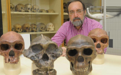 La evolución y diversidad facial de los primeros pobladores de América