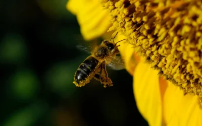 El declive del capital y la crisis socioeconómica global