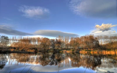 Economía circular frente a biodiversidad: un reto vital para alcanzar la sostenibilidad