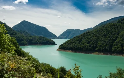 El hombre, la muerte y la biosfera