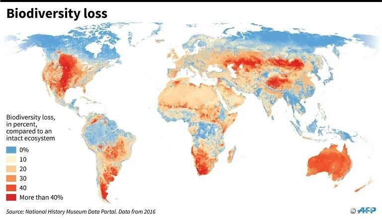 Mapamundi amb el percentatge de pèrdua de biodiversitat. NHM, 2016