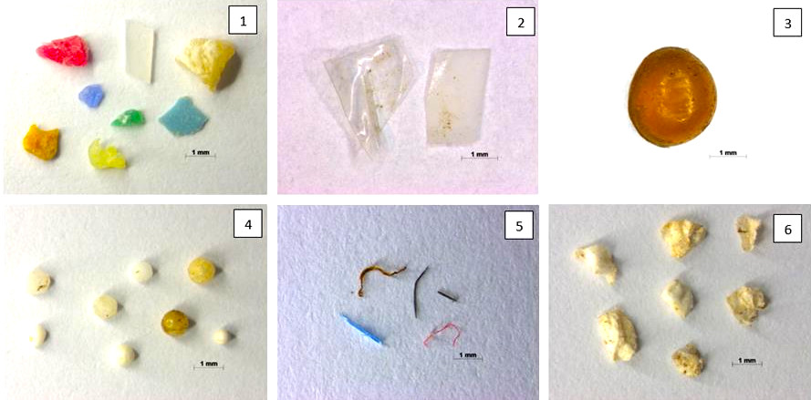 Tipologías de microplásticos: fragmentos, films, pellets, gránulos, filamentos y foams