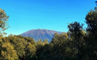 El reto de invertir en servicios ecosistémicos