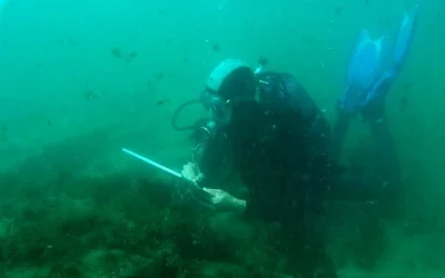 Superados los límites del planeta