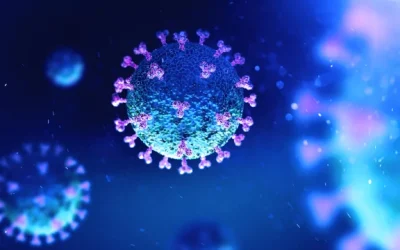 La necesidad de realizar una auditoría sobre la gestión de la Covid