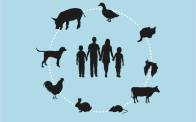 Una sola salut, un esforç comú per prevenir les malalties zoonòtiques