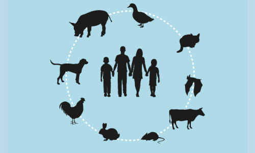 Una sola salud, un esfuerzo común para prevenir enfermedades: Las enfermedades zoonóticas