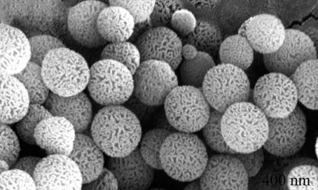 Nanopartículas de silice (SiO₂) con estructura mesoporosa vistas mediante microscopía electrónica de rastreo (SEM).