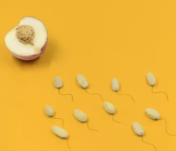 La ciencia de la espermatología: más allá de la semillita