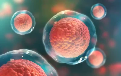 El futur dels trasplantaments i la regeneració cel·lular