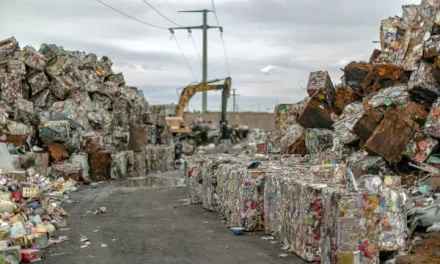 ¿Cuánto contaminan los residuos domésticos?