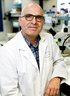 José Antonio López