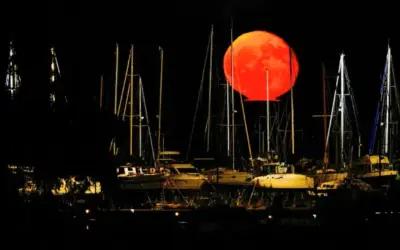 La lluna del cèrvol sobre el mar