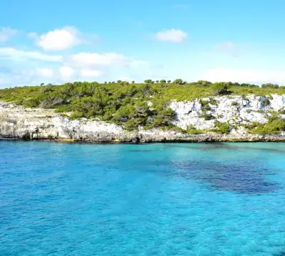 Jaime Jaume Sureda ingresa como Académico de Número de la RAED