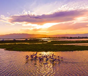 Debate: Desde el río hasta el mar. El enigma del Delta del Ebro