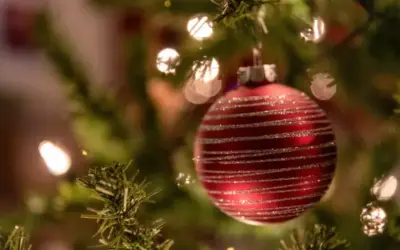 The Royal Academy celebrates a year of intense activity